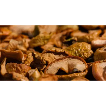 Organic Dried Apple